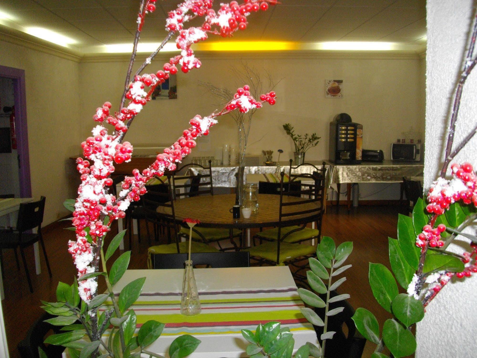 中央酒店 卡尔卡松 外观 照片